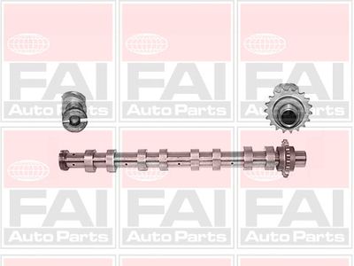 Camshaft FAI AutoParts C267