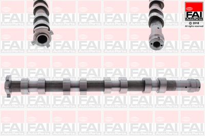 Camshaft FAI AutoParts C274