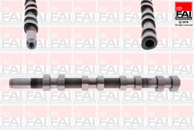 Camshaft FAI AutoParts C275
