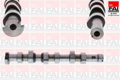 Camshaft FAI AutoParts C282