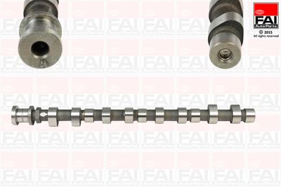 Camshaft FAI AutoParts C289