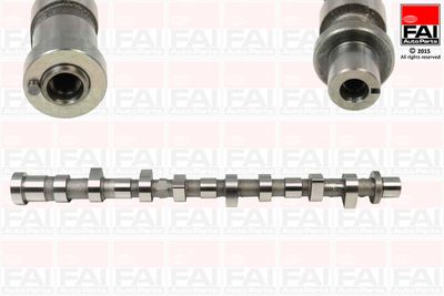 Camshaft FAI AutoParts C295