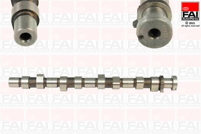 Camshaft FAI AutoParts C299