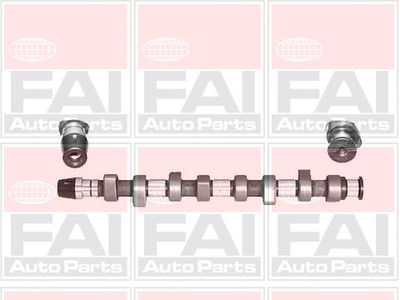 Camshaft FAI AutoParts C305