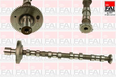 Camshaft FAI AutoParts C308