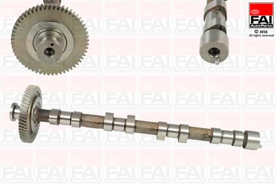 Camshaft FAI AutoParts C311