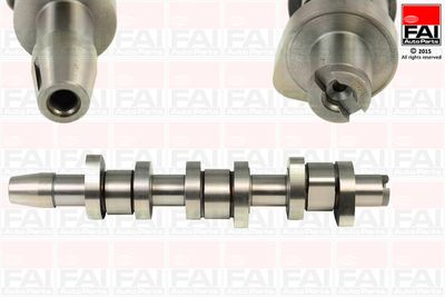 Camshaft FAI AutoParts C313