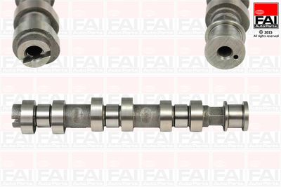 Camshaft FAI AutoParts C319