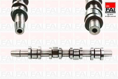 Camshaft FAI AutoParts C339