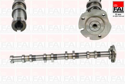 Camshaft FAI AutoParts C341