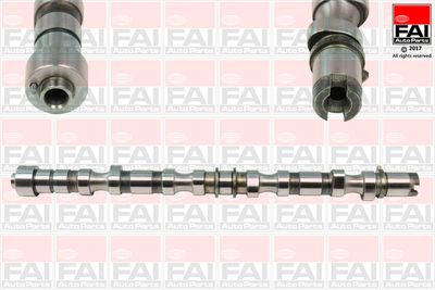 Camshaft FAI AutoParts C345