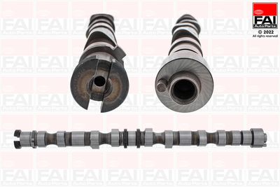 Camshaft FAI AutoParts C346