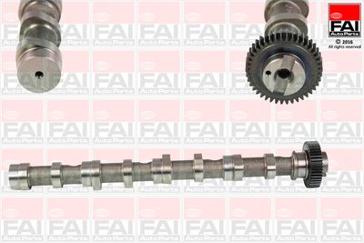 Camshaft FAI AutoParts C347