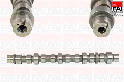 Camshaft FAI AutoParts C350