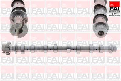 Camshaft FAI AutoParts C351