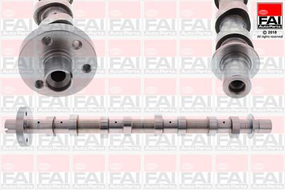 Camshaft FAI AutoParts C352