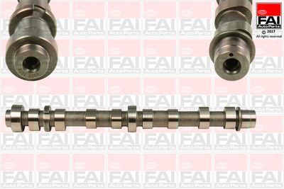 Camshaft FAI AutoParts C358