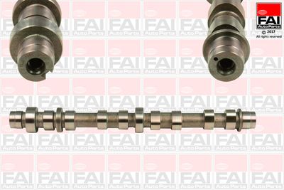 Camshaft FAI AutoParts C359
