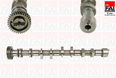 Camshaft FAI AutoParts C361