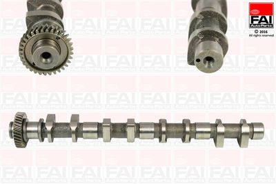 Camshaft FAI AutoParts C362