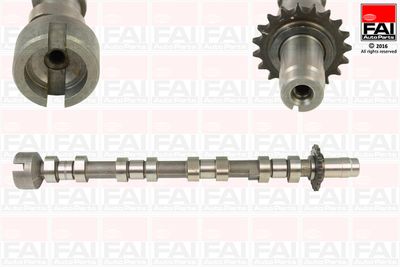 Camshaft FAI AutoParts C364