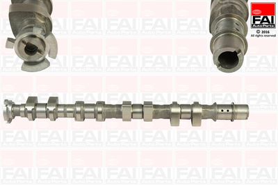 Camshaft FAI AutoParts C365
