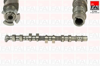 Camshaft FAI AutoParts C366