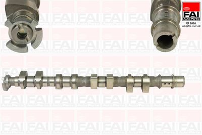 Camshaft FAI AutoParts C367