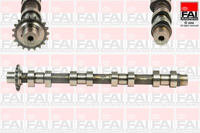 Camshaft FAI AutoParts C373