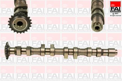Camshaft FAI AutoParts C378