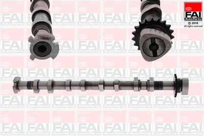 Camshaft FAI AutoParts C379