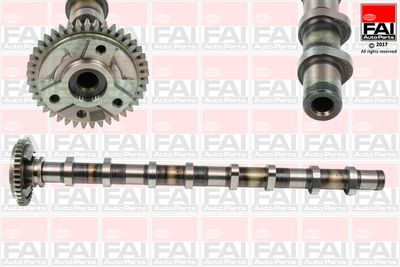 Camshaft FAI AutoParts C381