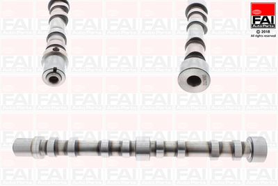 Camshaft FAI AutoParts C384