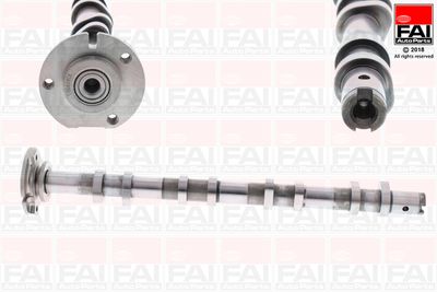 Camshaft FAI AutoParts C385