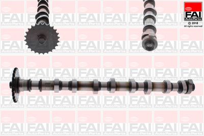 Camshaft FAI AutoParts C386