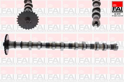 Camshaft FAI AutoParts C387
