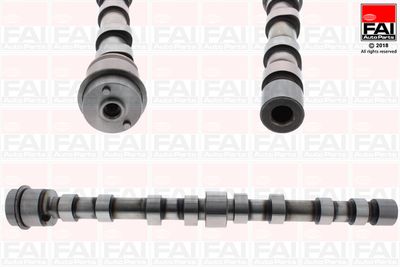 Camshaft FAI AutoParts C390