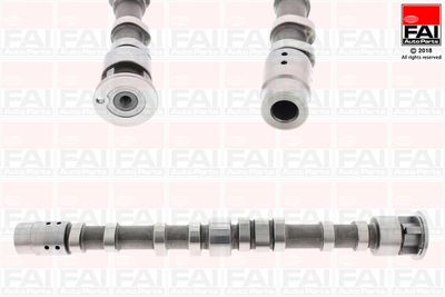 Camshaft FAI AutoParts C394