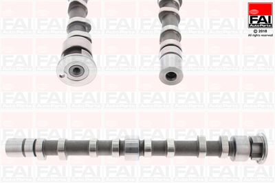 Camshaft FAI AutoParts C395