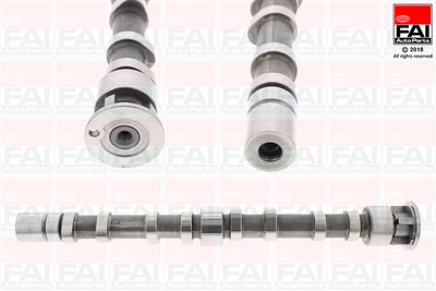 Camshaft FAI AutoParts C396