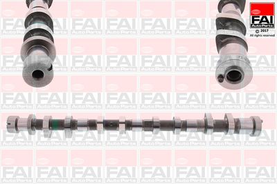 Camshaft FAI AutoParts C400