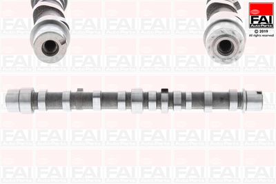 Camshaft FAI AutoParts C406