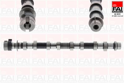Camshaft FAI AutoParts C409