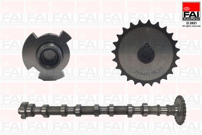 Camshaft FAI AutoParts C413