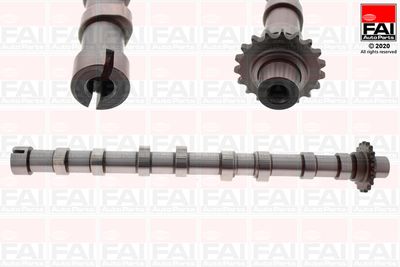 Camshaft FAI AutoParts C420