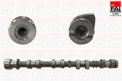 Camshaft FAI AutoParts C443