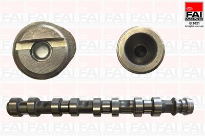 Camshaft FAI AutoParts C461