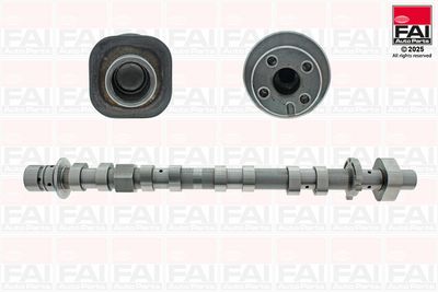 Camshaft FAI AutoParts C467