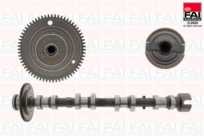 Camshaft FAI AutoParts C530
