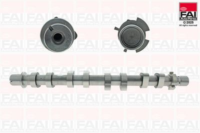Camshaft FAI AutoParts C539